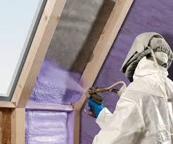 Best Spray Foam Insulation  in Burgaw, NC