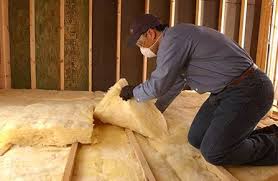 Best Basement Insulation  in Burgaw, NC