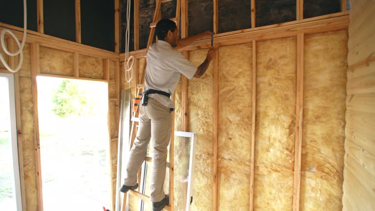 Types of Insulation We Offer in Burgaw, NC