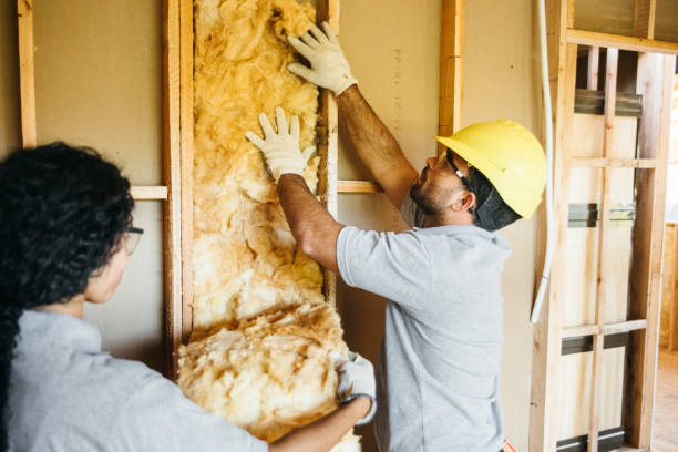 Best Insulation for New Construction  in Burgaw, NC