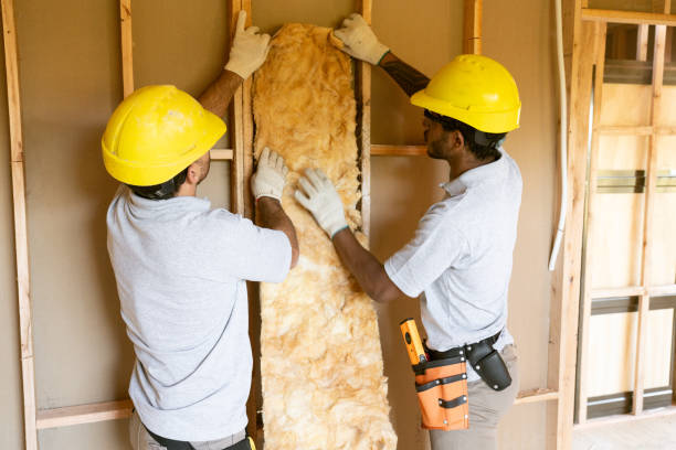 Best Attic Insulation Installation  in Burgaw, NC