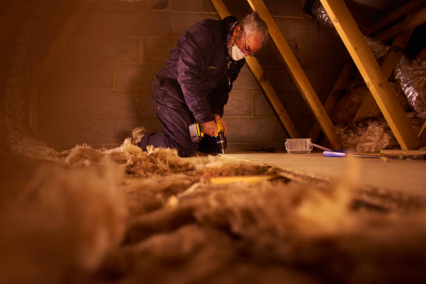 Best Eco-Friendly or Green Insulation Solutions  in Burgaw, NC